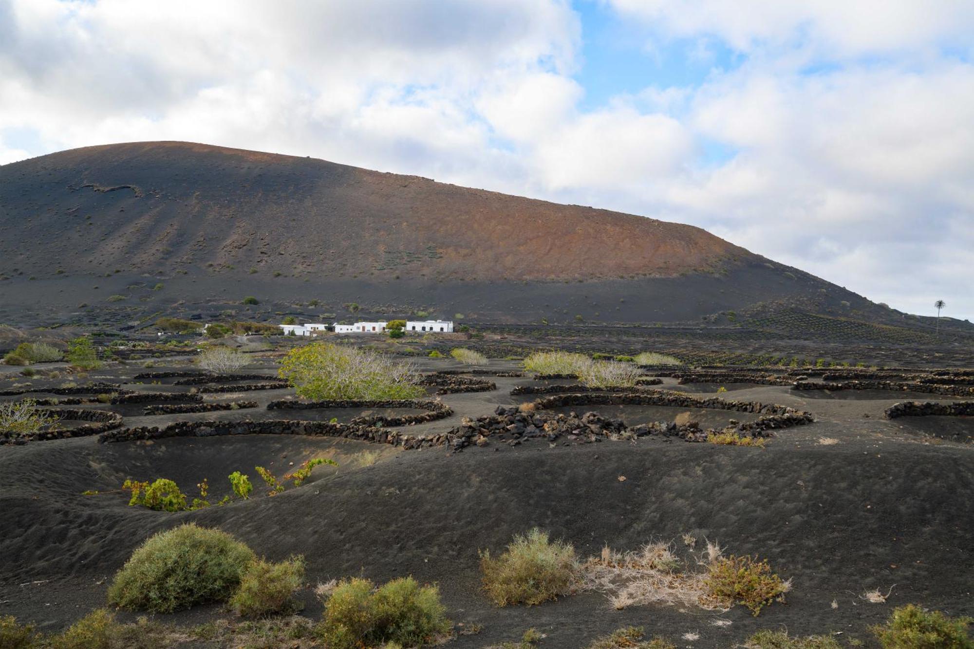 Finca De La Geria ヤイサ エクステリア 写真